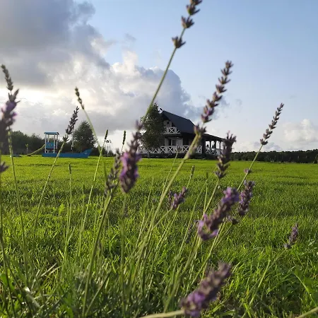 Lawendowe Wzgorze Na Wylacznosc Z Jacuzzi I Klimatyzacja * Mielenko