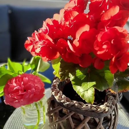 Lawendowe Wzgorze Na Wylacznosc Z Jacuzzi I Klimatyzacja Nyaraló