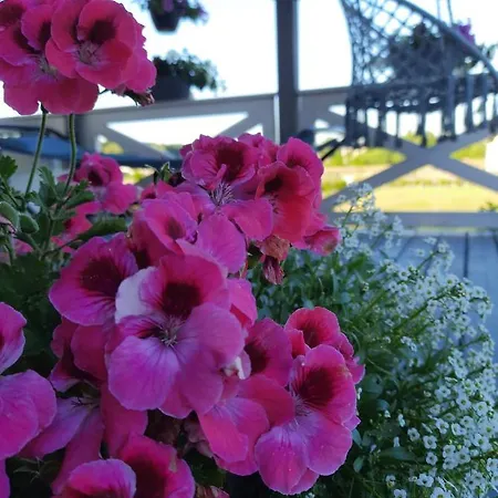 Nyaraló Lawendowe Wzgorze Na Wylacznosc Z Jacuzzi I Klimatyzacja Mielenko