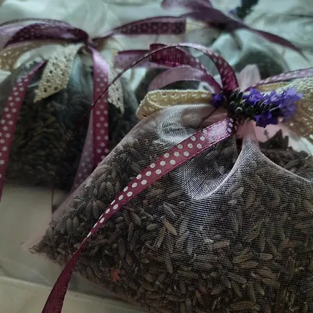 Lawendowe Wzgorze Na Wylacznosc Z Jacuzzi I Klimatyzacja Hébergement de vacances Mielenko