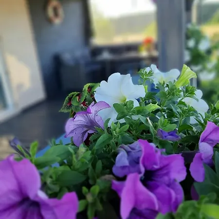 Lawendowe Wzgorze Na Wylacznosc Z Jacuzzi I Klimatyzacja Nyaraló Mielenko