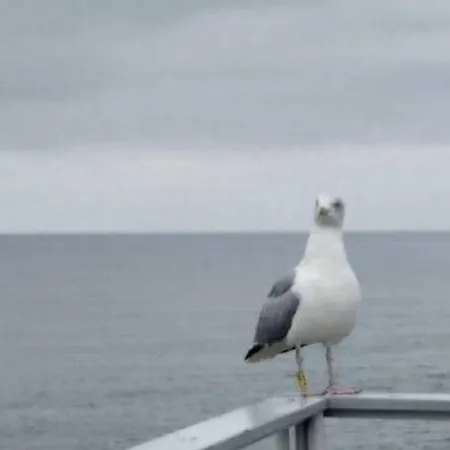 Lawendowe Wzgorze Na Wylacznosc Z Jacuzzi I Klimatyzacja *