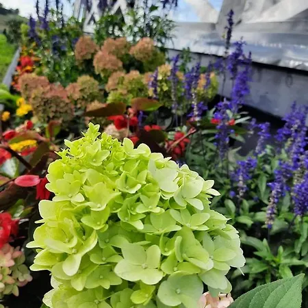 Lawendowe Wzgorze Na Wylacznosc Z Jacuzzi I Klimatyzacja Mielenko