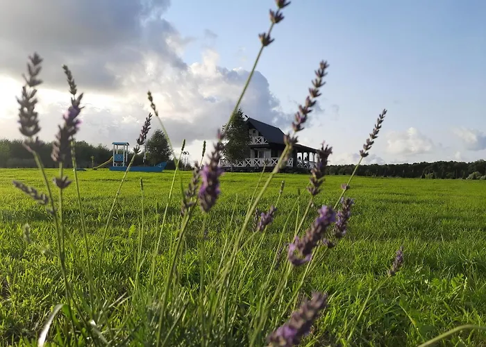 Lawendowe Wzgorze Na Wylacznosc Z Jacuzzi I Klimatyzacja * Mielenko
