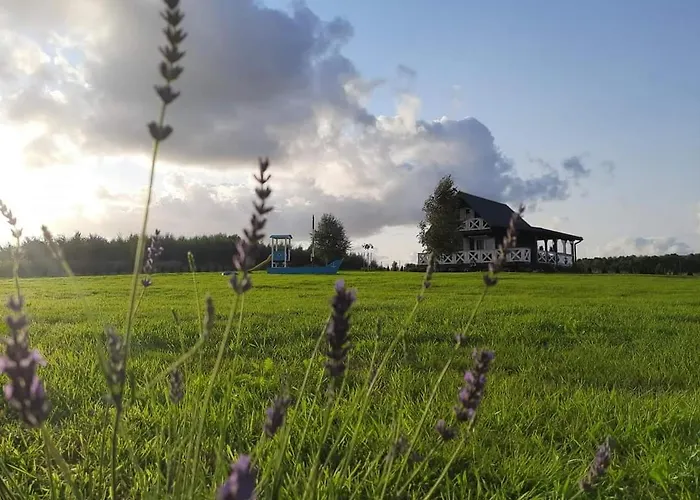 Lawendowe Wzgorze Na Wylacznosc Z Jacuzzi I Klimatyzacja Holiday home Mielenko