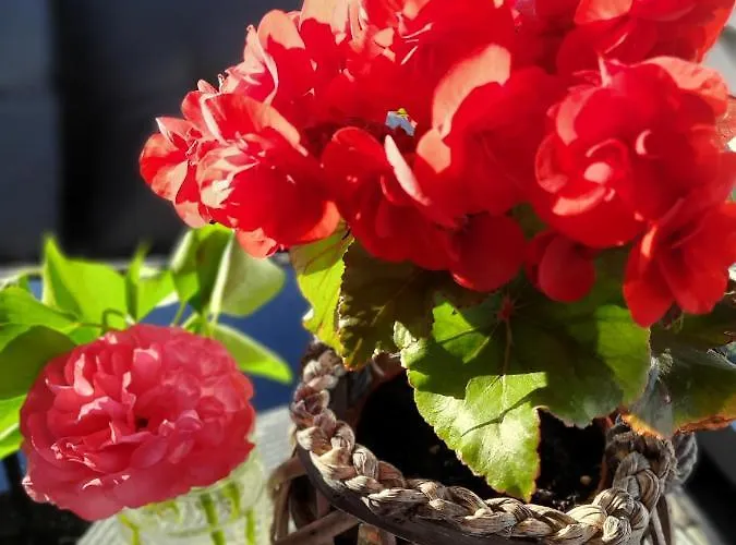 Lawendowe Wzgorze Na Wylacznosc Z Jacuzzi I Klimatyzacja Holiday home