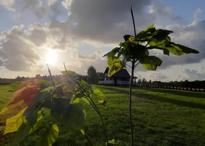 Holiday home Lawendowe Wzgorze Na Wylacznosc Z Jacuzzi I Klimatyzacja