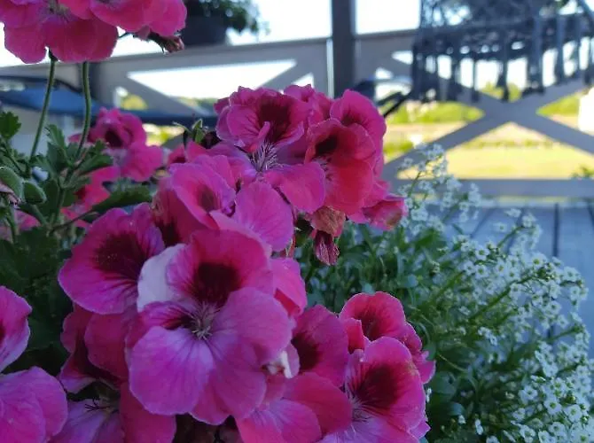 Vakantiehuis Lawendowe Wzgorze Na Wylacznosc Z Jacuzzi I Klimatyzacja Mielenko