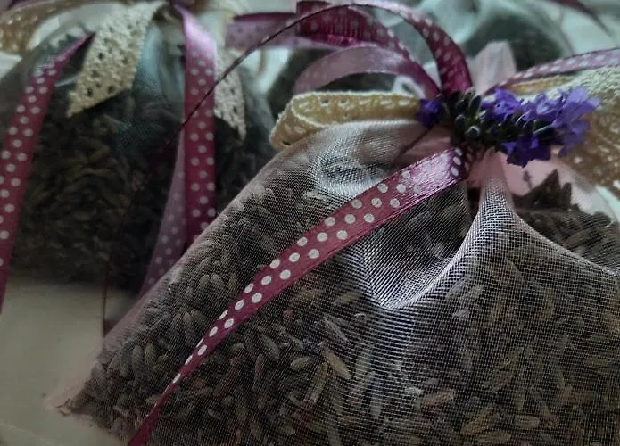 Lawendowe Wzgorze Na Wylacznosc Z Jacuzzi I Klimatyzacja Holiday home Mielenko