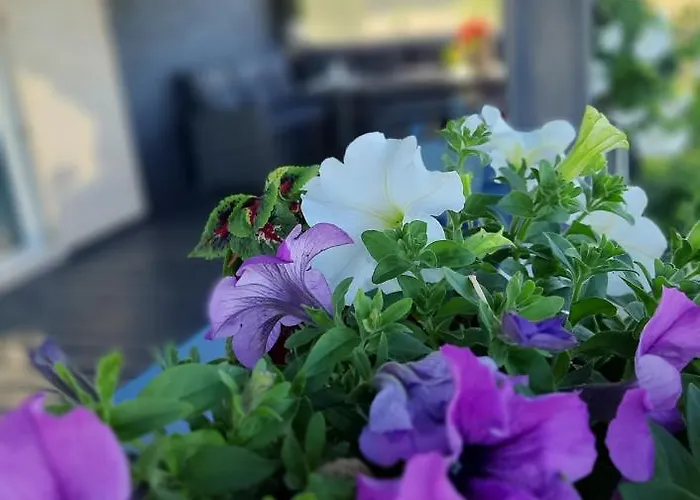 Lawendowe Wzgorze Na Wylacznosc Z Jacuzzi I Klimatyzacja Holiday home Mielenko